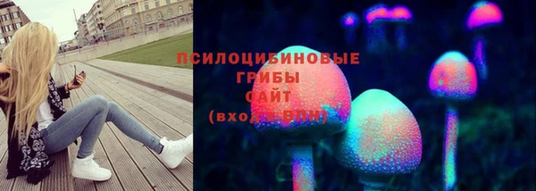 скорость Снежногорск