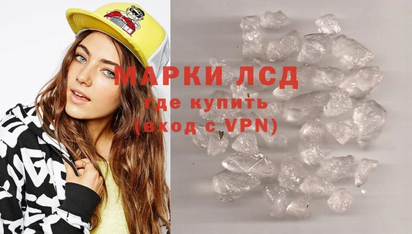 хмурый Алексин