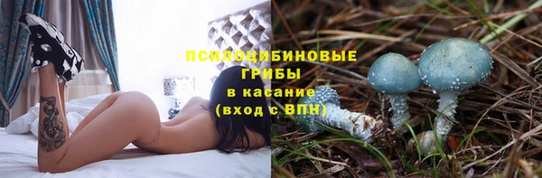хмурый Алексин